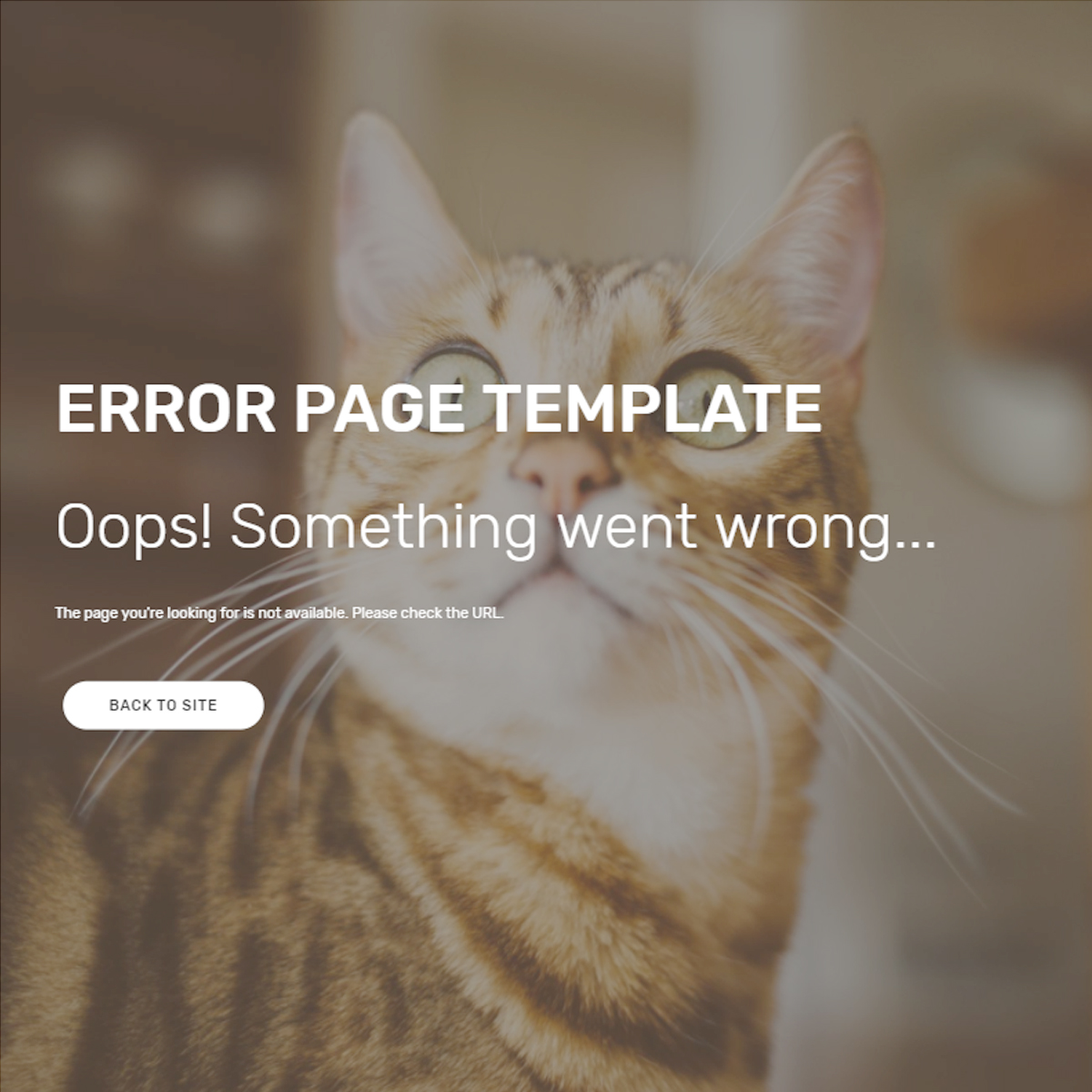 HTML Bootstrap Error Themes
